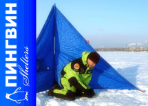 Пингвин Крыло