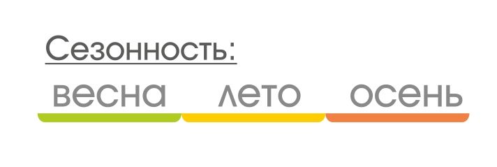 ATOL 3 палатка Talberg, зелёный